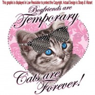 Rhinestone Hearts Cat